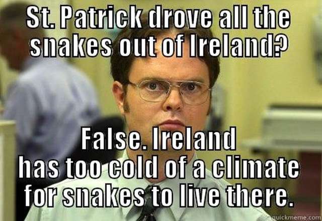 funniest st patrick's day memes on the internet right now supercall tmg article_tall funniest st patrick's day memes on the internet right now supercall
