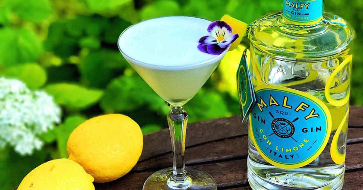 Gin vs Vodka The Best Gins For DieHard Vodka Lovers Supercall